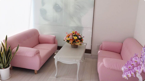 トリミング待合室