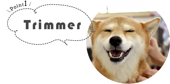 ポイント1｜ベテラントリマーによるシャンプー・カット