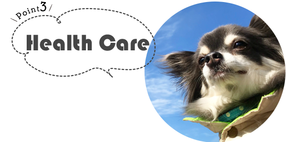 ポイント3｜健康チェック