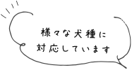 マラセチア、アトピー、アレルギーなど様々な犬種に対応しています