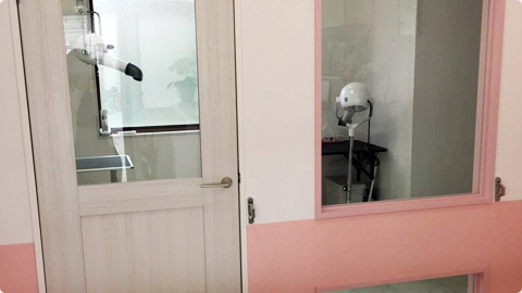 名古屋市北区 ペットサロン ピアス