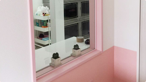 名古屋市北区 ペットサロン ピアス