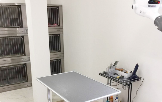 ペットサロン ピアスのトリミングは、ベテラントリマーによるカウンセリング重視のトリミングです