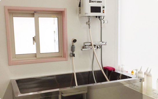 ペットサロン ピアスは、皮膚と被毛に優しいナノバブルオゾンペットシャワーを標準採用。マラセチア、アトピー、アレルギーなどの皮膚病に対応します。